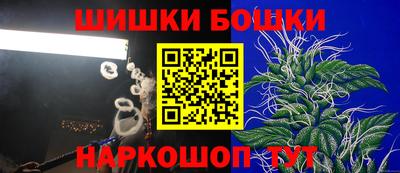 амф Камышлов