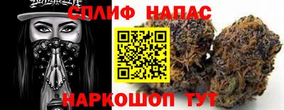 амф Камышлов