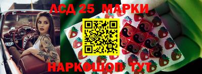 амф Камышлов