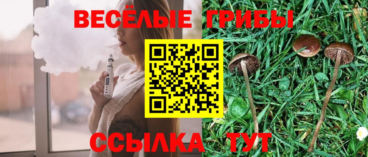 Псилоцибиновые грибы Cubensis Камышин