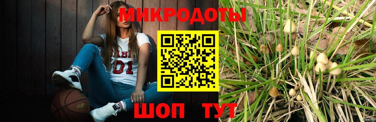 Псилоцибиновые грибы GOLDEN TEACHER  Псилоцибиновые грибы мицелий  Вход с VPN  Камышин 